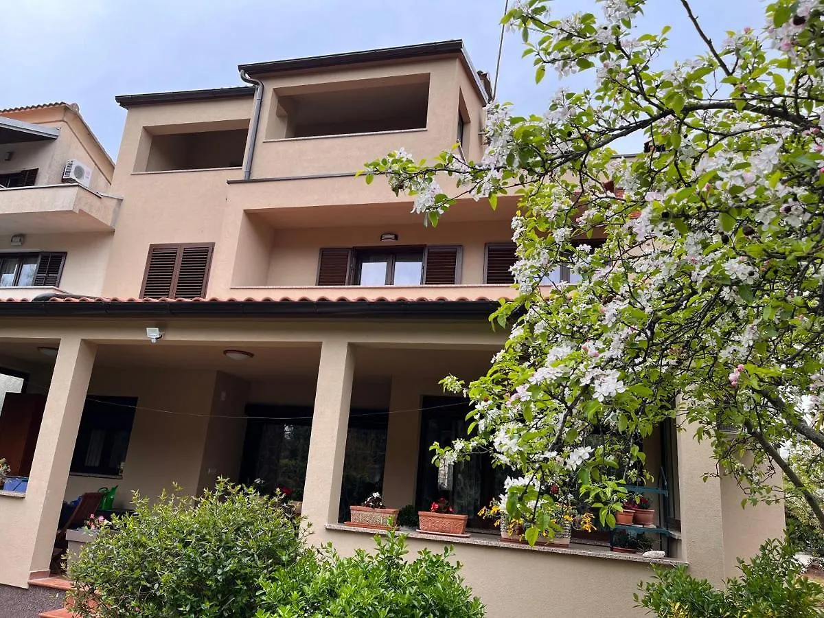 Quiet Apartment-Free Parking